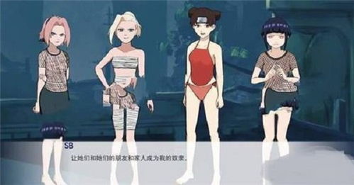 忍者后宫游戏安卓,尽享浪漫传奇
