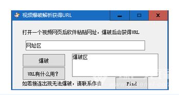 侠客短视频解析 
