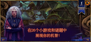 主权安卓游戏攻略,征服战场