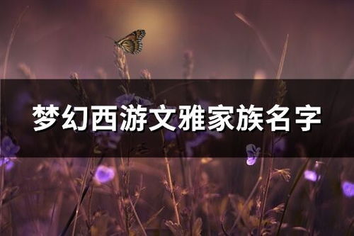 文雅相机 