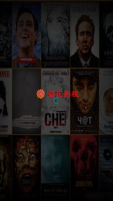菊花安卓游戏下载,尽享指尖乐趣