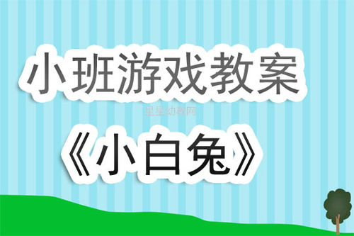 双师小课 