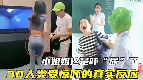 华丽裤子大冒险 