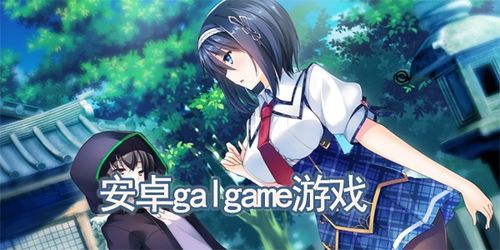 安卓galgame游戏资源,探索安卓Galgame资源宝藏之旅